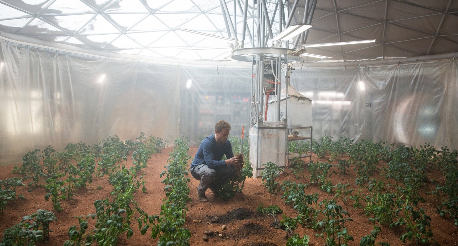 The Martian movie image 1b (greenhouse).jpg